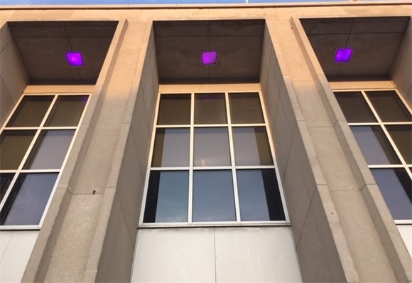 City Hall Lit Purple 
